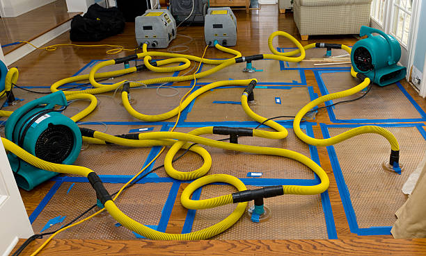 Professional Crawl Space Water Removal technician working in Chester, MD